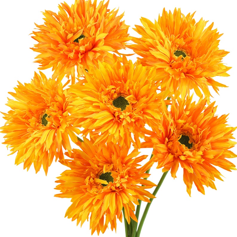 🌼2025 Hot Sale🔥Realistic Artificial Spider Gerbera Daisies Home Decor💐