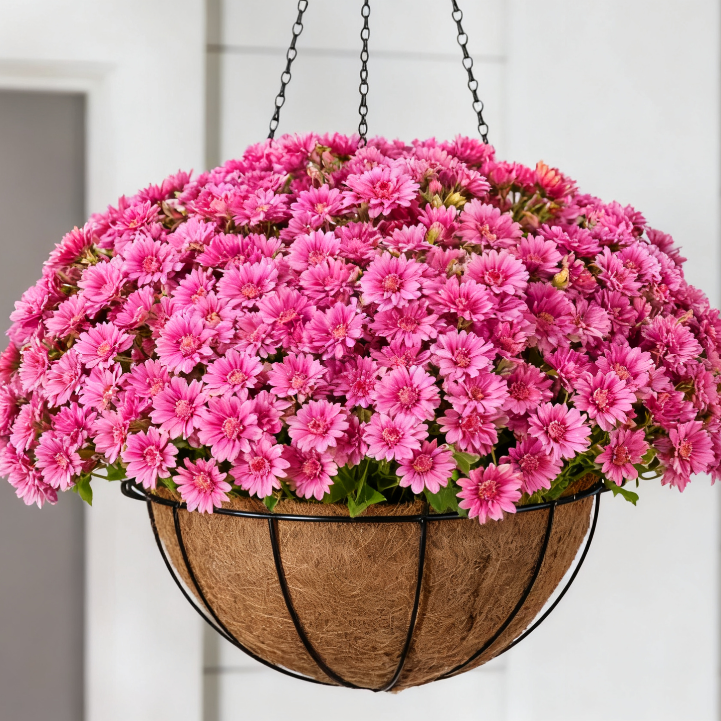 Last Day Each Only $2.99🌼- Artificial Outdoor Sunset Mums Flowers - UV resistant, Waterproof, Windproof