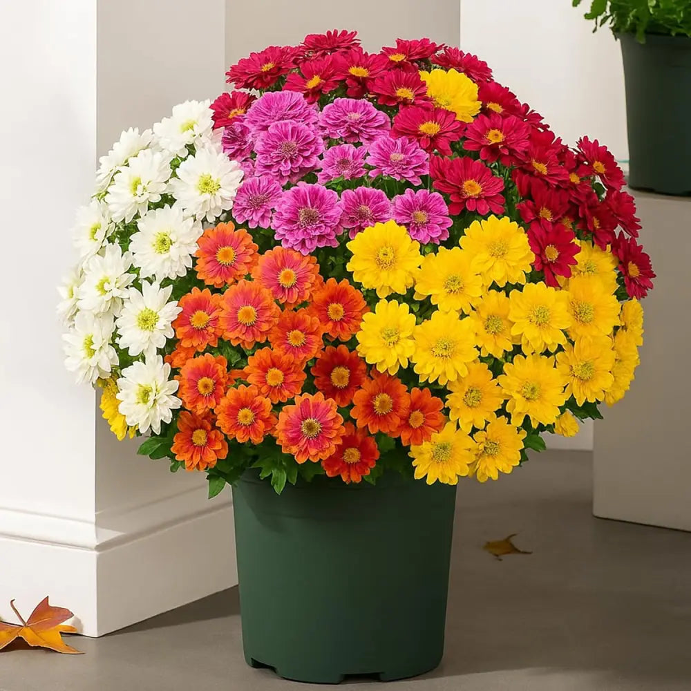 💥Last Day Each Only $2.99🌼- Artificial Outdoor Sunset Mums Flowers - UV resistant, Waterproof, Windproof