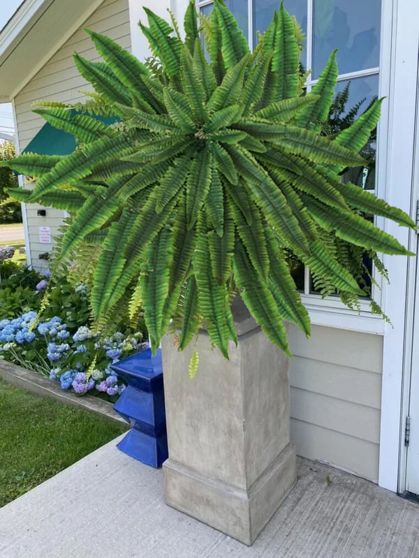 🔥 $9.98 On Sale Only Today 🌱 UV-Resistant Lifelike Artificial Boston Fern