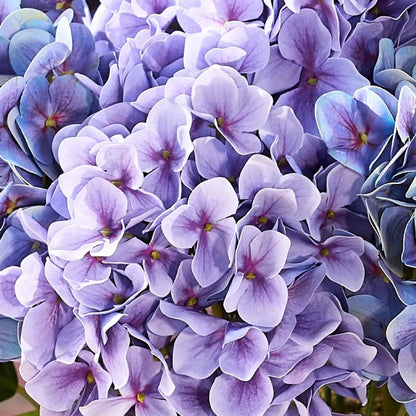 💥Last Day Only $3.99 Each💐Artificial Outdoor Hydrangea Flowers - UV resistant, Waterproof, Windproof