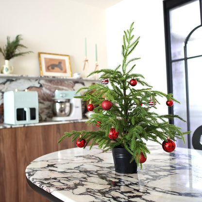 🎄Real Touch Norfolk Pine Topiary Tree - MINI CHRISTMAS TREE
