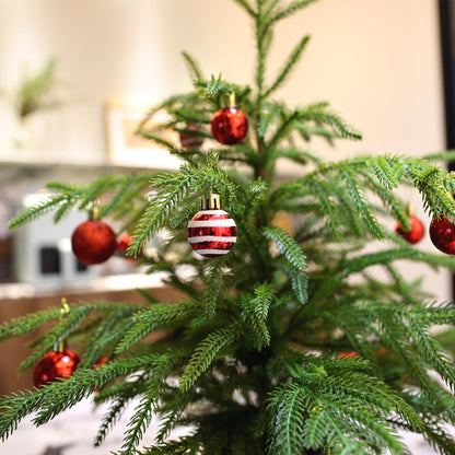 🎄Real Touch Norfolk Pine Topiary Tree - MINI CHRISTMAS TREE