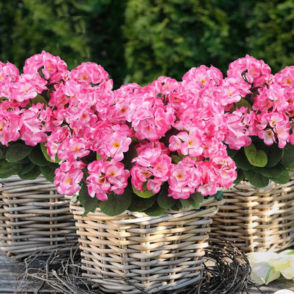💐2025 Hot Sale✨UV-Resistant Lifelike Artificial Geraniums